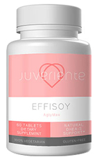 Effisoy