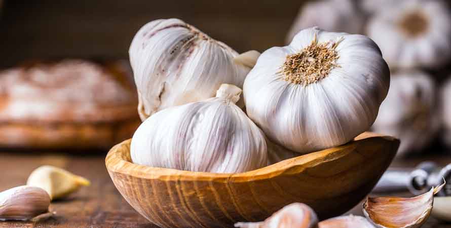 Garlic