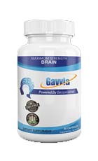 Gavvia Brain