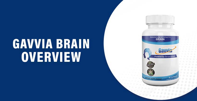 Gavvia Brain
