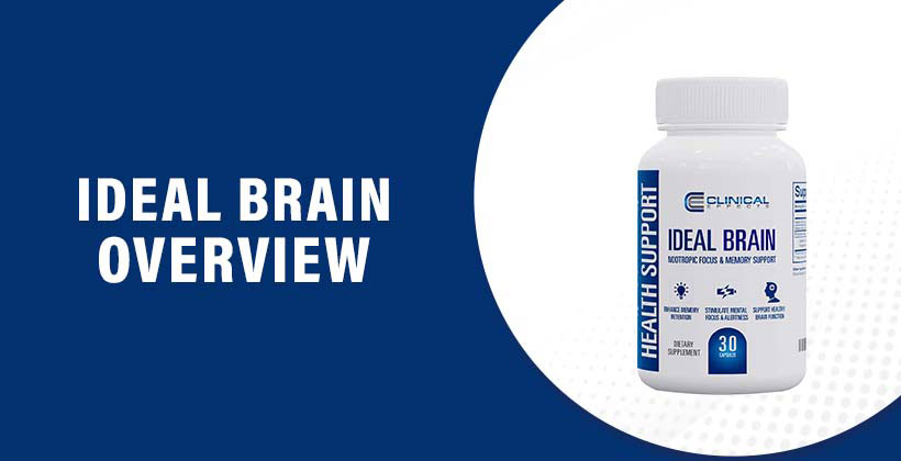 Ideal Brain
