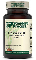 Ligaplex II