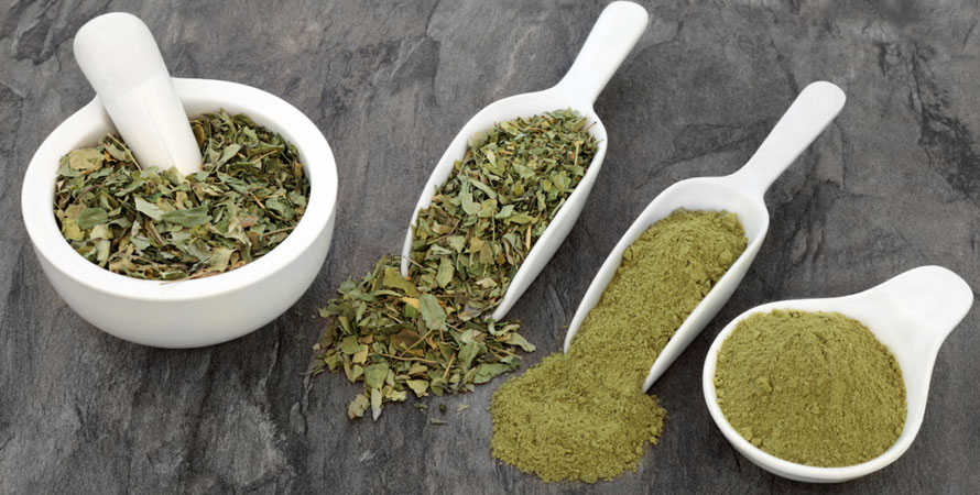 Moringa Use