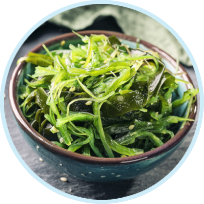 Chondrus Crispus (Seaweed) Extract